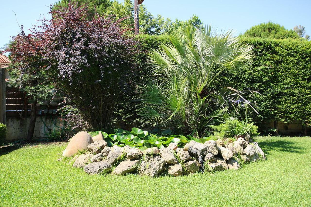 Peter'S Country House Katakolo Dış mekan fotoğraf